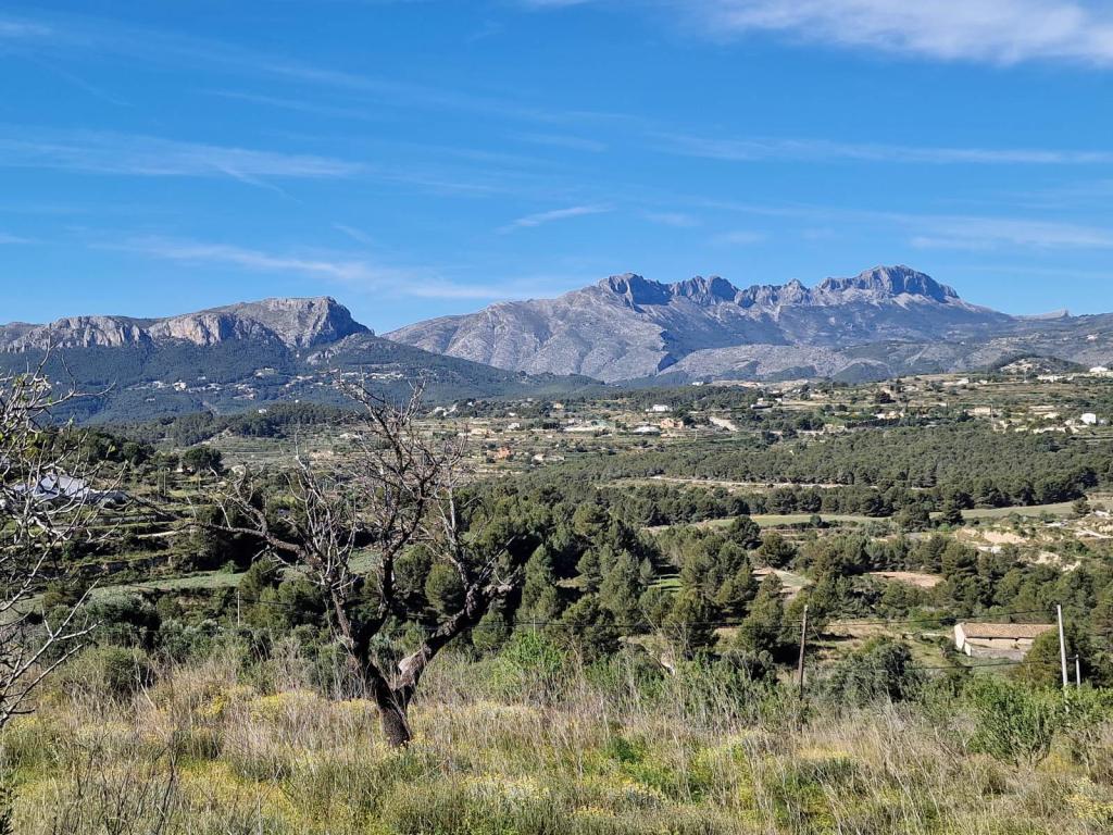 plots of land in Benissa