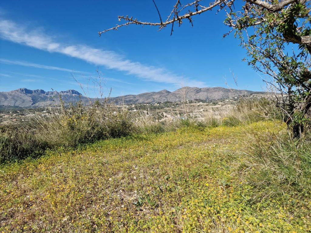 plots of land in Benissa