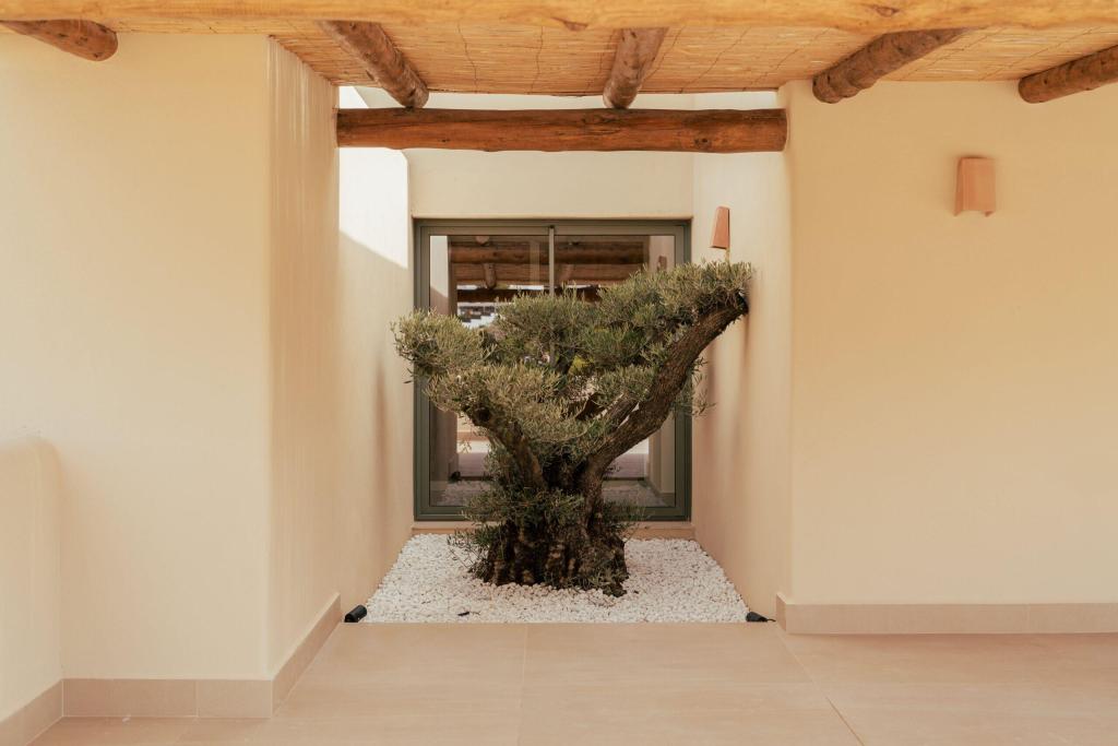 3 bed villas in Javea