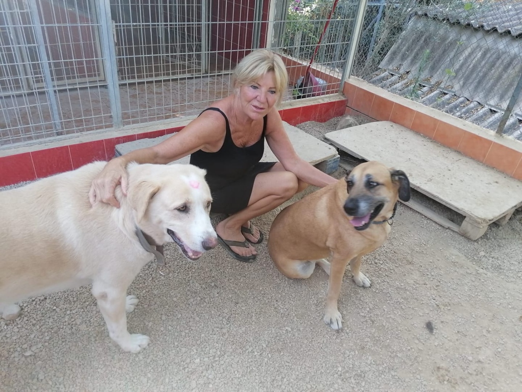 Casa Antigua - Dog Kennels & Cattery Costa Blanca