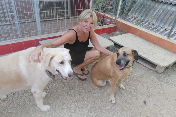 Casa Antigua - Dog Kennels & Cattery Costa Blanca