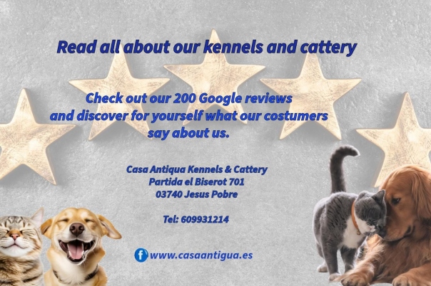 Casa Antigua - Dog Kennels & Cattery Costa Blanca
