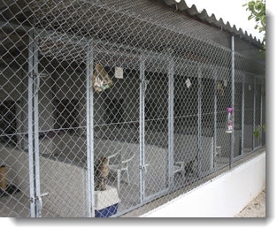 Casa Antigua - Dog Kennels & Cattery Costa Blanca