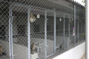 Casa Antigua - Dog Kennels & Cattery Costa Blanca