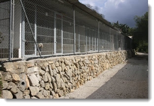Casa Antigua - Dog Kennels & Cattery Costa Blanca