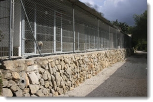 Casa Antigua - Dog Kennels & Cattery Costa Blanca