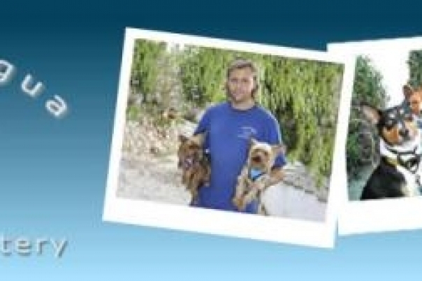Casa Antigua - Dog Kennels & Cattery Costa Blanca