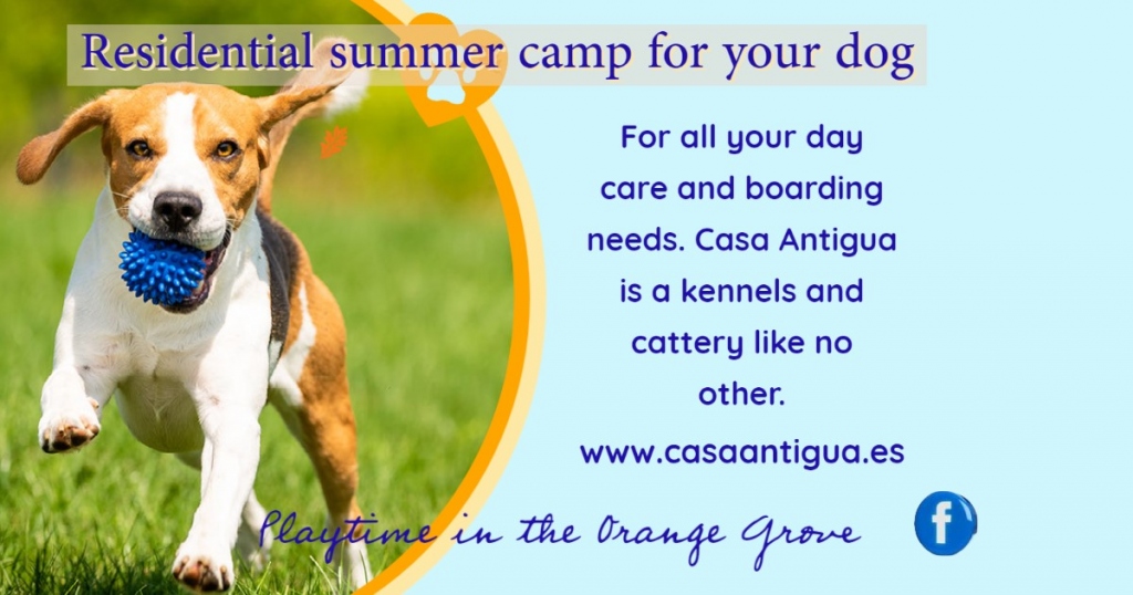 Casa Antigua - Dog Kennels & Cattery Costa Blanca