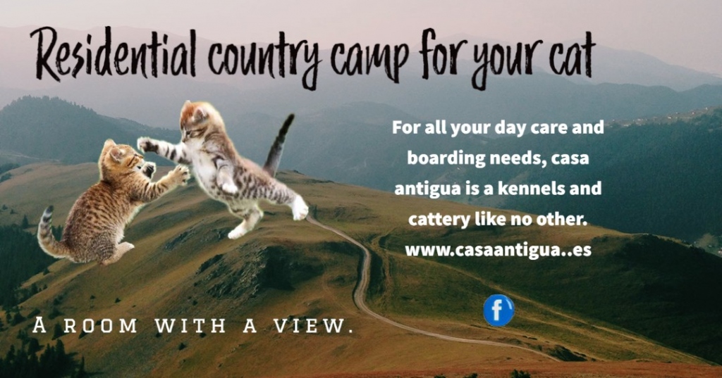 Casa Antigua - Dog Kennels & Cattery Costa Blanca