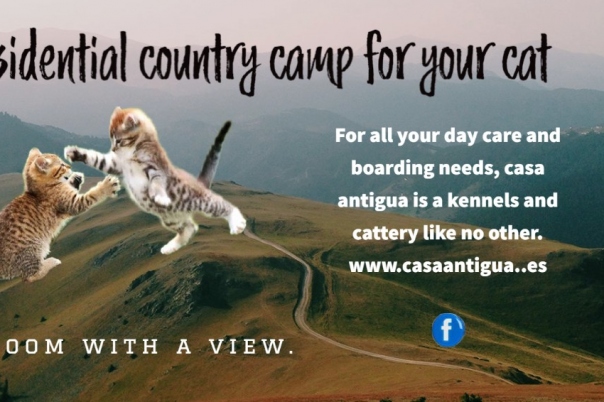 Casa Antigua - Dog Kennels & Cattery Costa Blanca