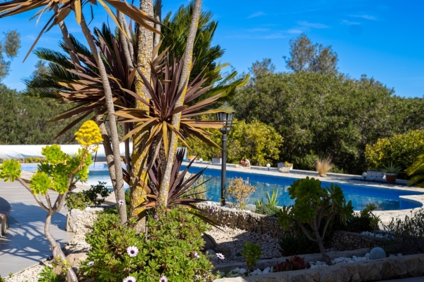 5 bed villa in Javea