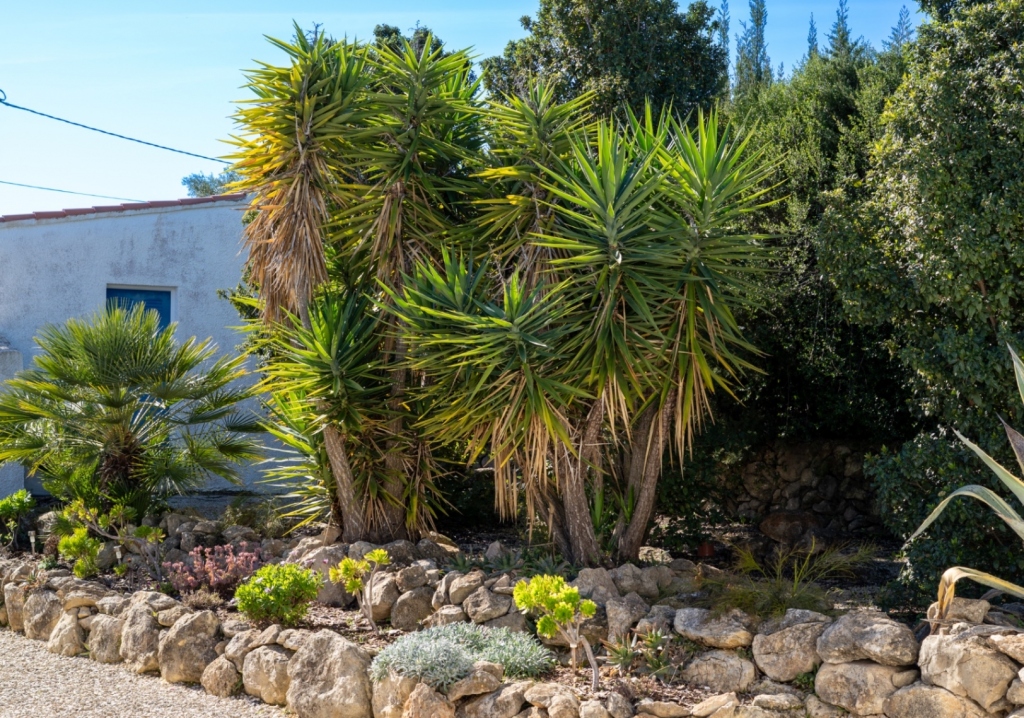 5 bed villa in Javea
