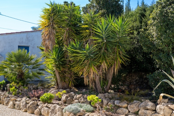 5 bed villa in Javea