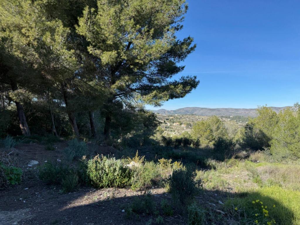 plot in Moraira