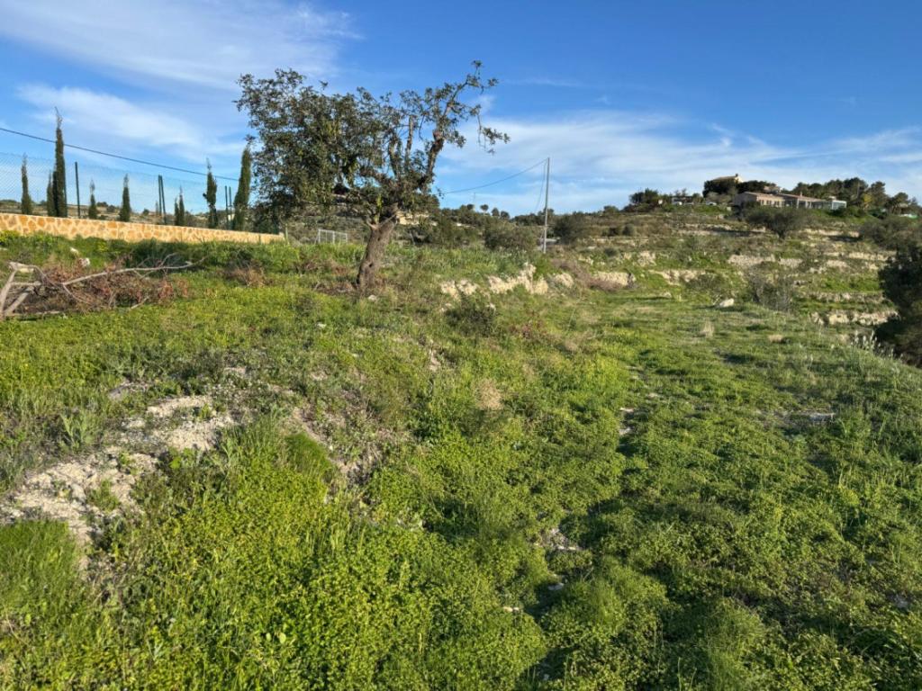 plot in Benissa