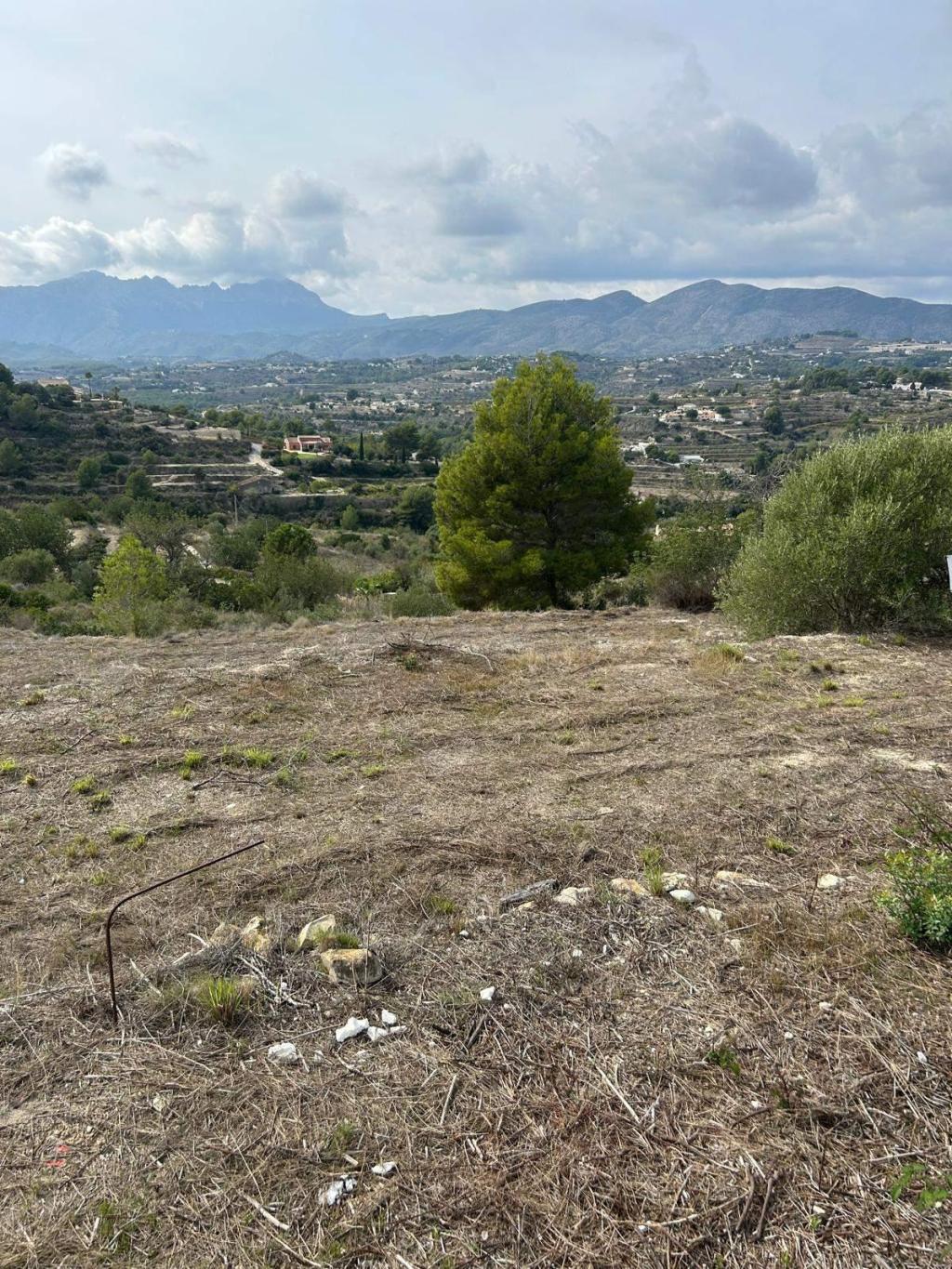 plot in Benissa