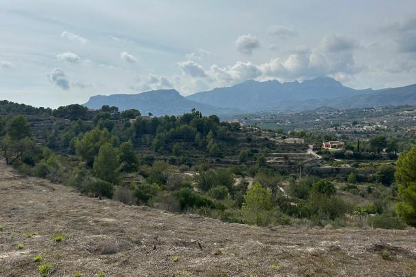 plot in Benissa