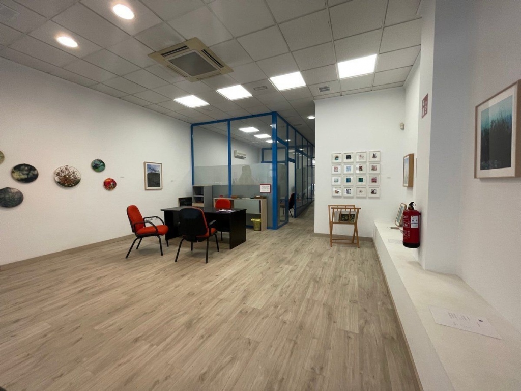 local comercial in Calpe / Calp