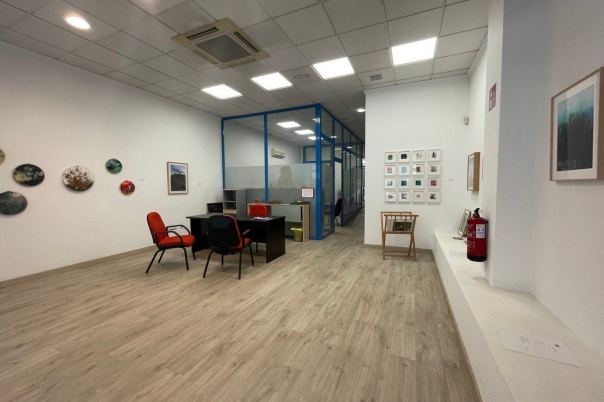 local comercial in Calpe / Calp