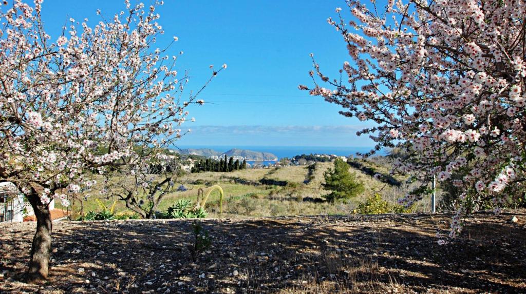 5 bed villa in Benissa