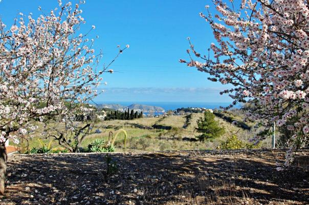 5 bed villa in Benissa