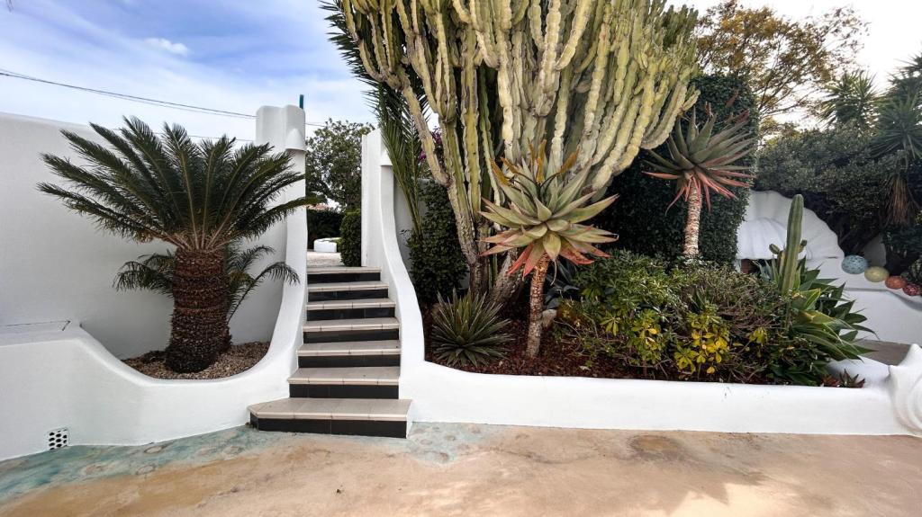 5 bed villas in Javea