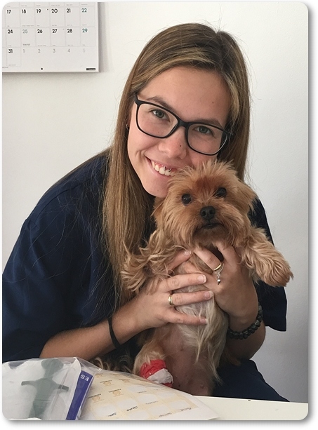 Clinica Veterinaria Victoria - Moraira Vet