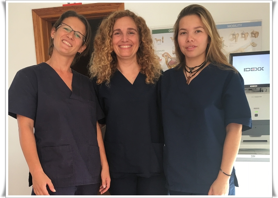 Clinica Veterinaria Victoria - Moraira Vet