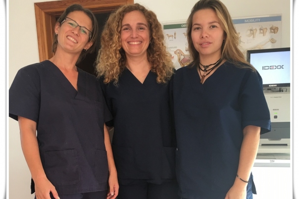 Clinica Veterinaria Victoria - Moraira Vet