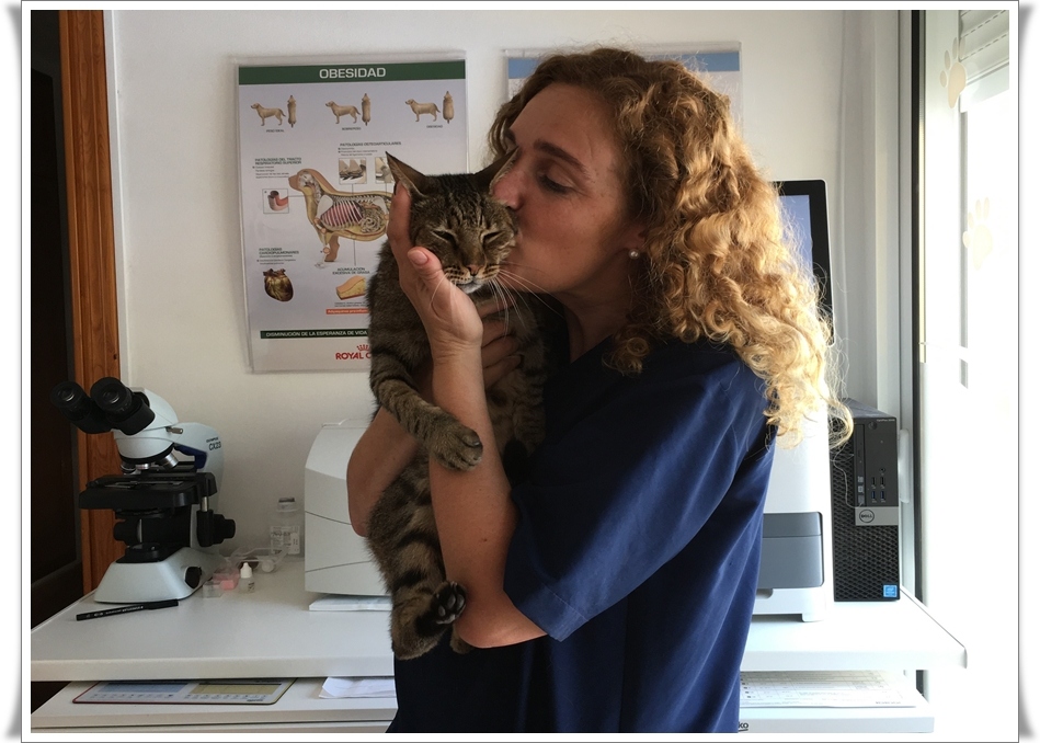 Clinica Veterinaria Victoria - Moraira Vet
