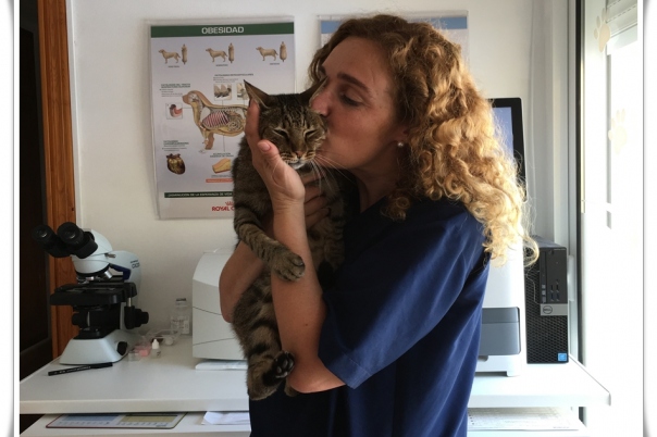 Clinica Veterinaria Victoria - Moraira Vet