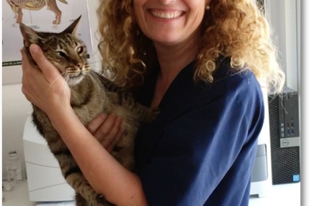 Clinica Veterinaria Victoria - Moraira Vet