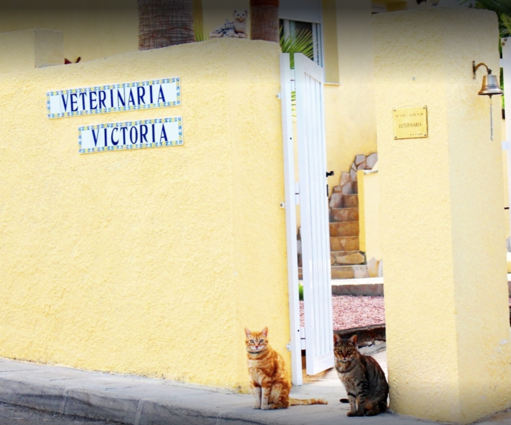 Clinica Veterinaria Victoria - Moraira Vet