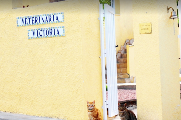 Clinica Veterinaria Victoria - Moraira Vet