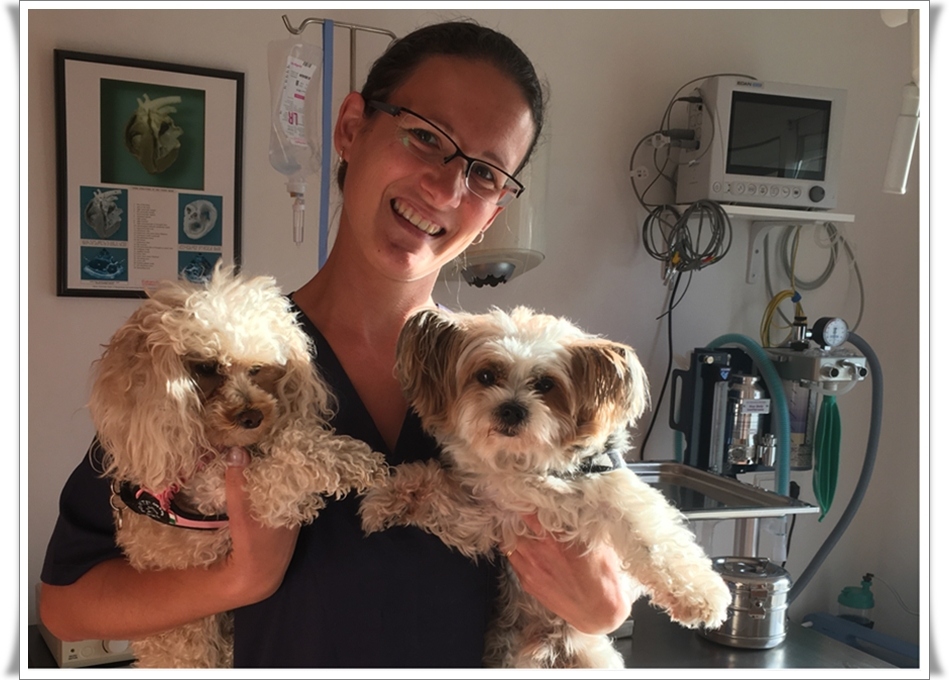 Clinica Veterinaria Victoria - Moraira Vet