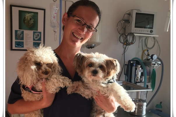 Clinica Veterinaria Victoria - Moraira Vet