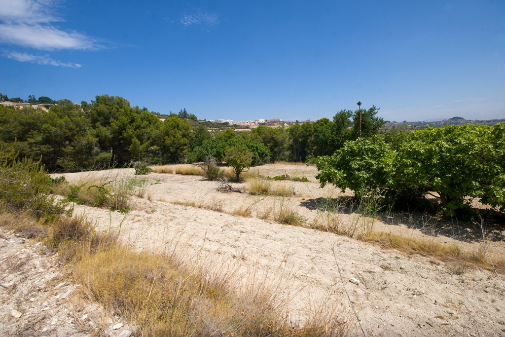 plot in Benissa