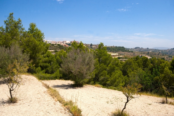 plot in Benissa