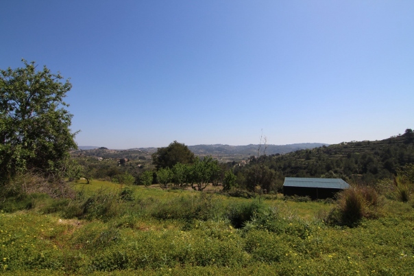 plot in Benissa