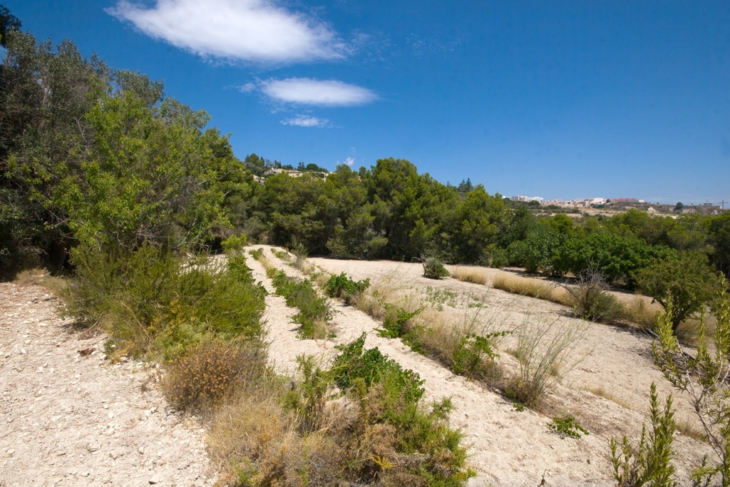 plot in Benissa