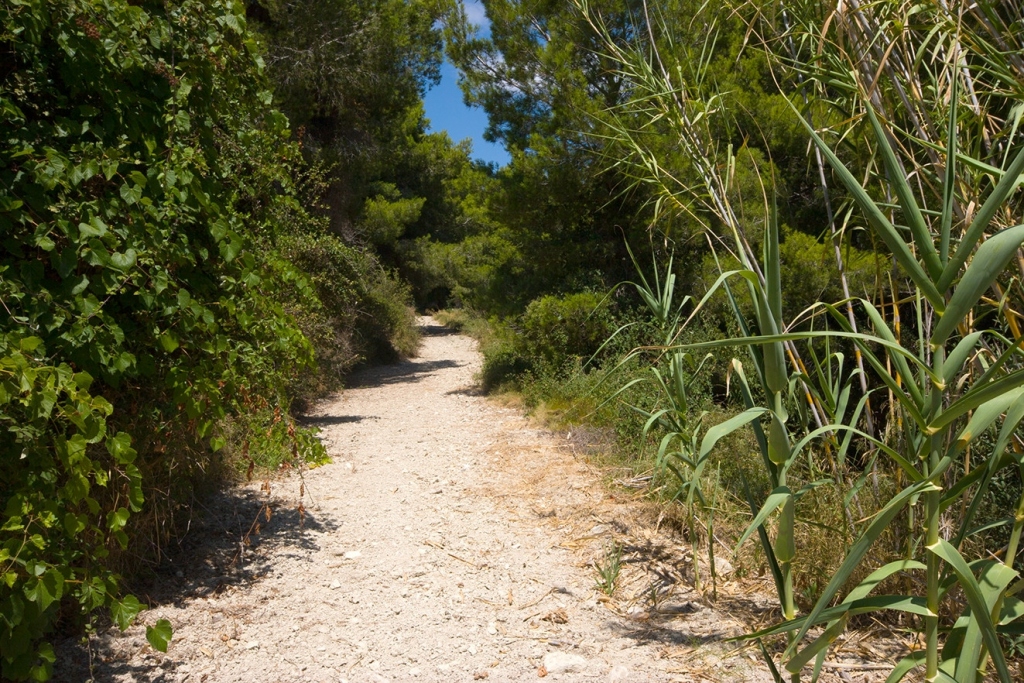 plot in Benissa