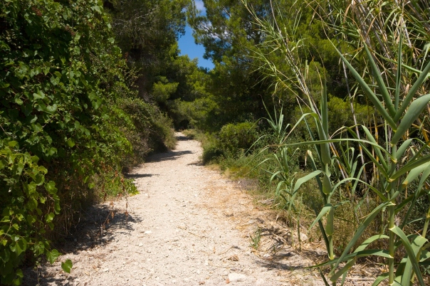 plot in Benissa