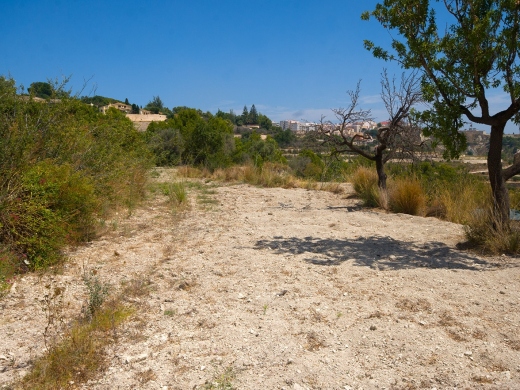 plot in Benissa