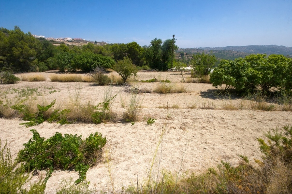 plot in Benissa
