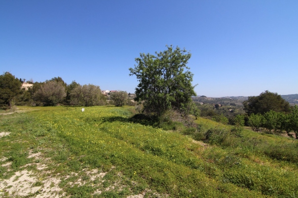 plot in Benissa