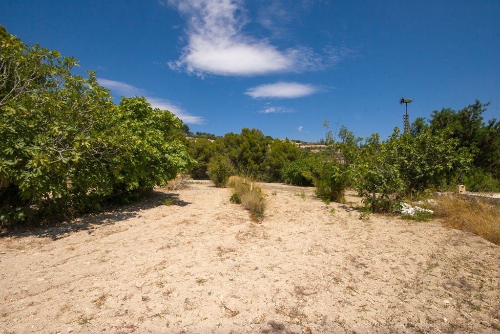 plot in Benissa