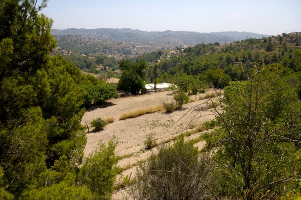 plot in Benissa
