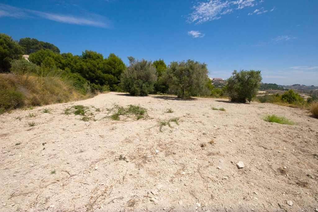 plot in Benissa