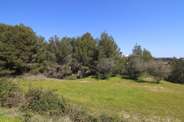 plot in Benissa