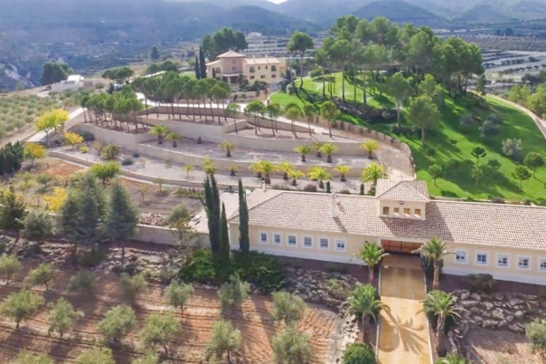 7 bed villa in Penáguila